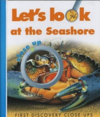 Let's Look at the Seashore