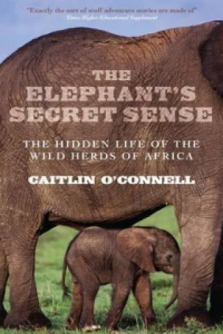 Elephant's Secret Sense