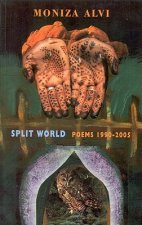 Split World