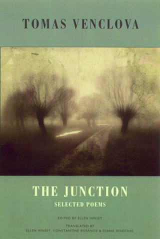 Junction