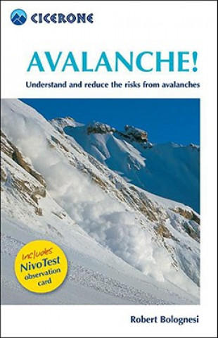 Avalanche!