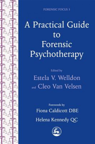 Practical Guide to Forensic Psychotherapy