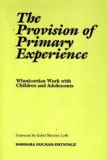 Provision of the Primary Experience