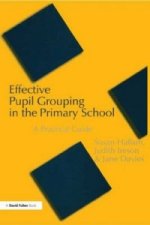 Effective Pupil Grouping in the Primary School