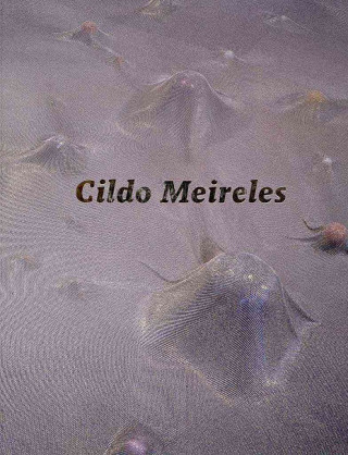 Cildo Meireles