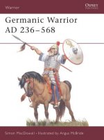 Germanic Warrior AD 236-568