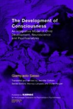 Development of Consciousness