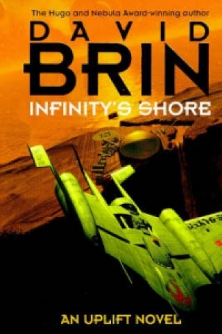 Infinity's Shore