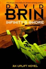 Infinity's Shore