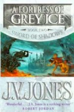 Fortress Of Grey Ice