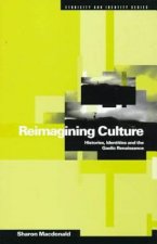 Reimagining Culture