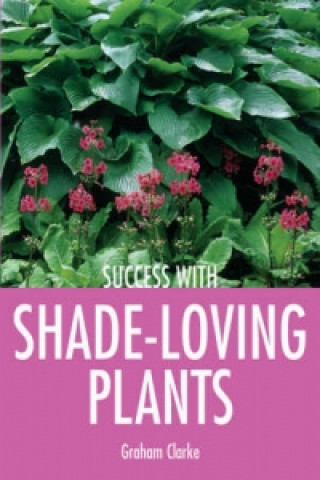 Shade-loving Plants