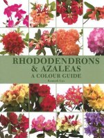 Rhododendrons and Azaleas - A Colour Guide