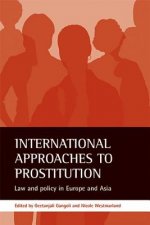 International approaches to prostitution