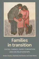Families in transition
