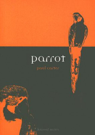 Parrot