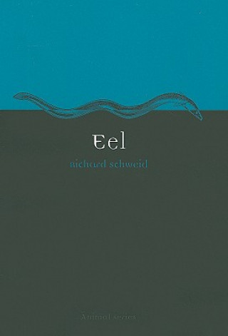 Eel