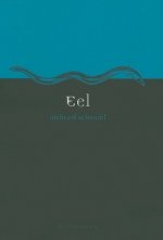 Eel