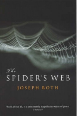 Spider's Web