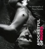 Pocketful of Nudes: The Art of Sensual Photography