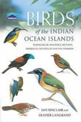 Chamberlain's Birds Indian Ocean