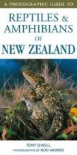 Photographic Guide To Reptiles & Amphibians Of New Zealand