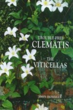 Trouble-free Clematis