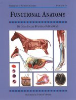 Functional Anatomy