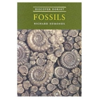 Discover Dorset Fossils