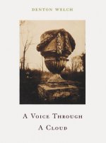 Voice Through Cloud