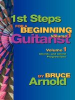 1st Steps for a Beginning Guitarist
