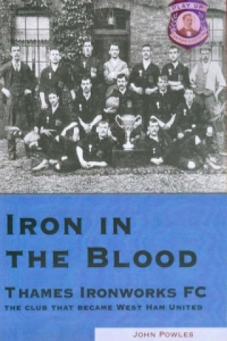 Iron in the Blood