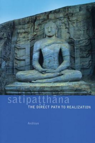 Satipatthana (Analayo)(Miękka)