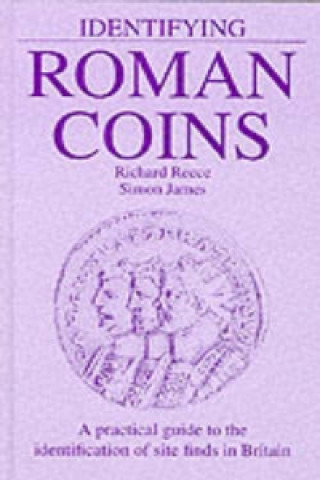 Identifying Roman Coins