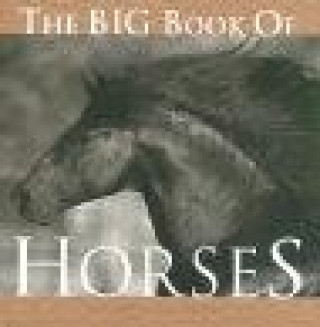 Big Book of Horses