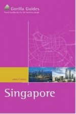 Business Traveller's Handbook to Singapore