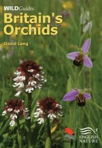 Britain`s Orchids