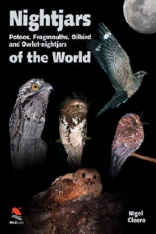 Nightjars, Potoos, Frogmouths, Oilbird, and Owlet-nightjars of the World (Nigel Cleere)(Pevná)