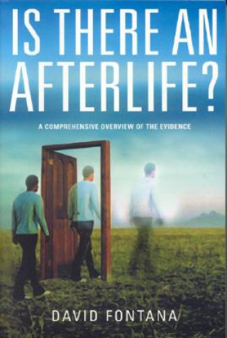 Is There an Afterlife?