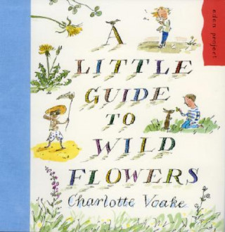 Little Guide To Wild Flowers