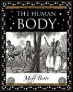 Human Body