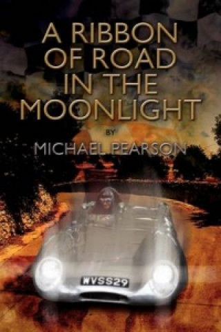 Ribbon of Road in the Moonlight