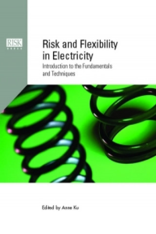Risk and Flexibility in Electricity