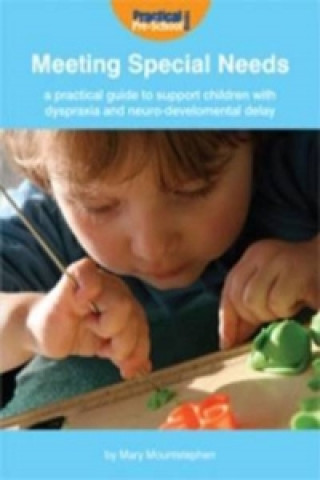 Practical Guide to Support Children with Dyspraxia and Neurodevelopmental Delay