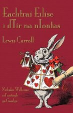 Eachtrai Eilise I DTir Na NIontas