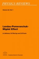 Landau-Pomeranchuk-Migdal Effect