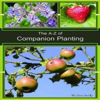 A-Z of Companion Planting
