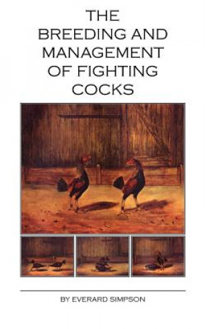 Breeding and Management of Fighting Cocks