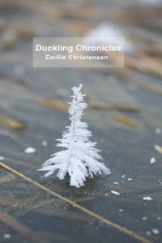 Duckling Chronicles