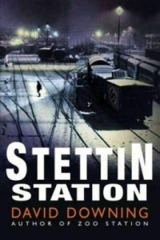 Stettin Station